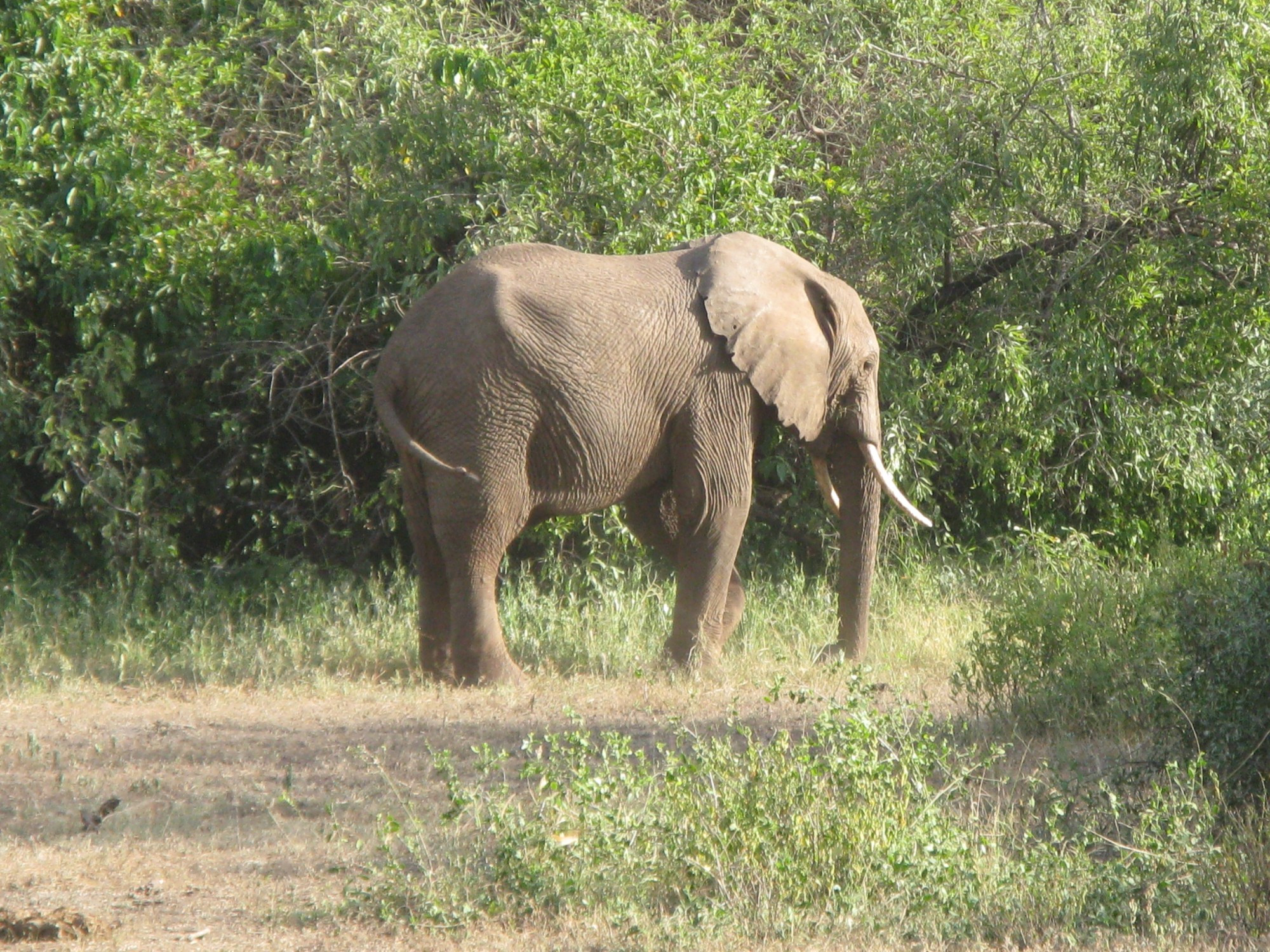 Tanzania