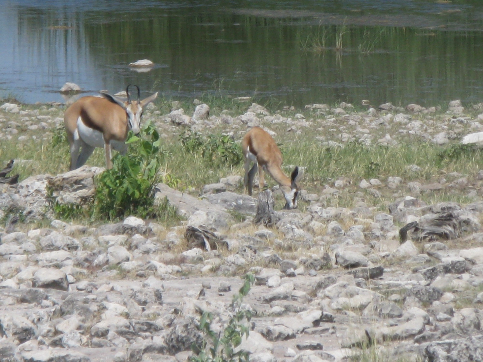 Namibia