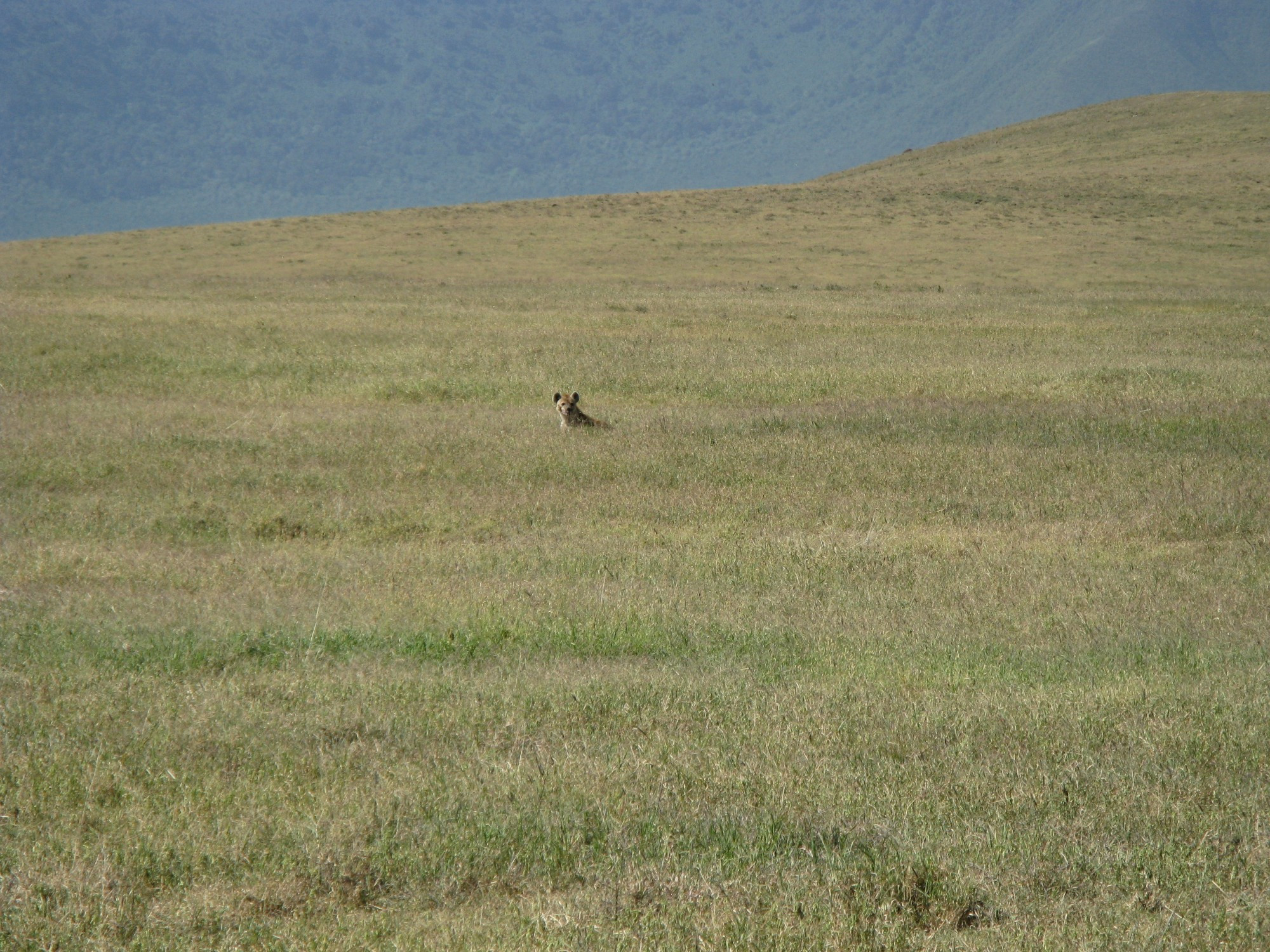 Tanzania