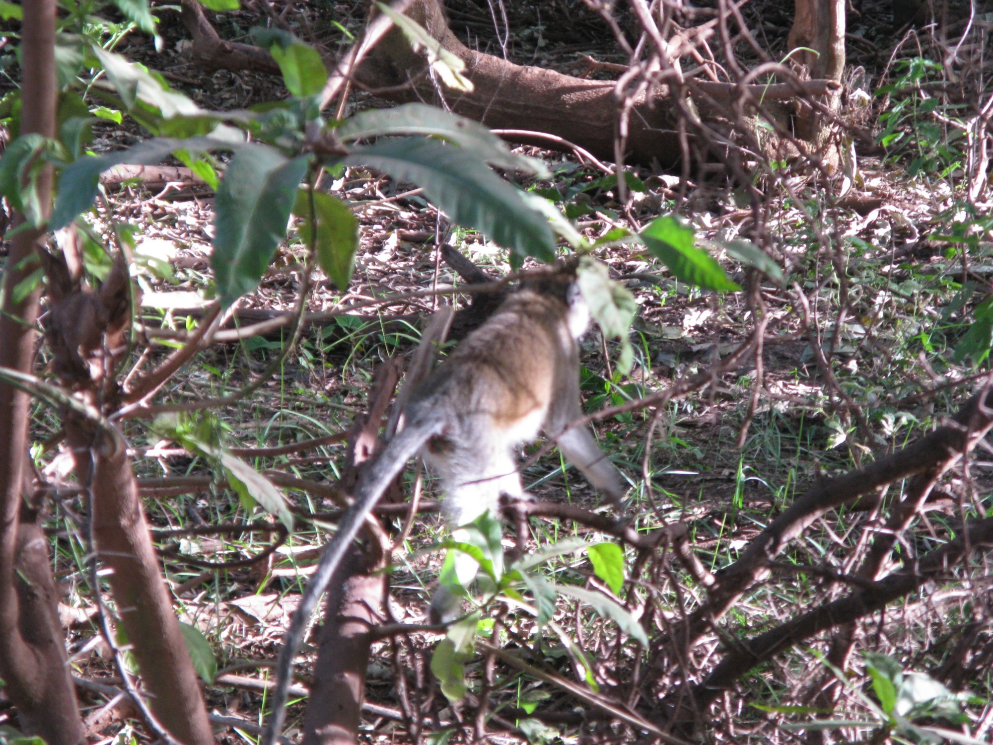 Tanzania