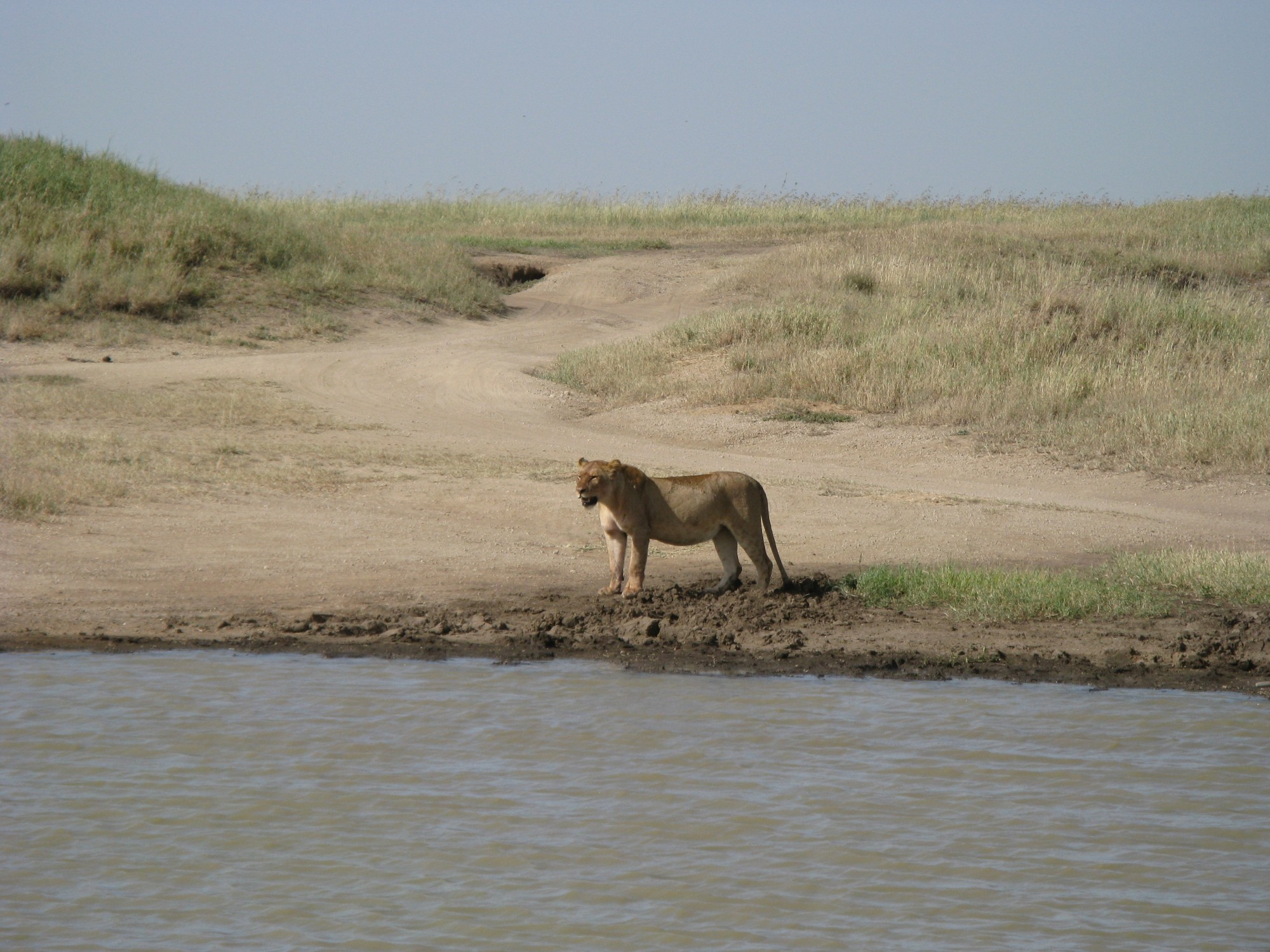 Tanzania