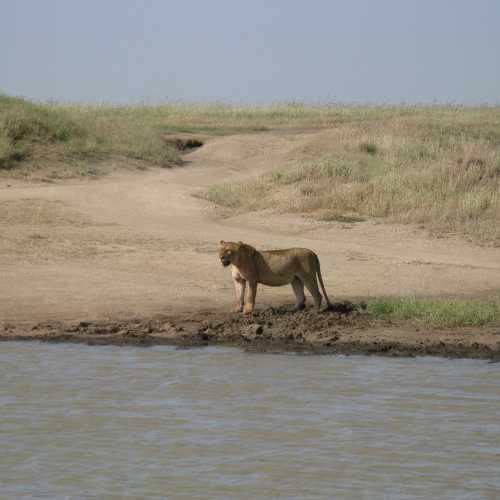 Tanzania