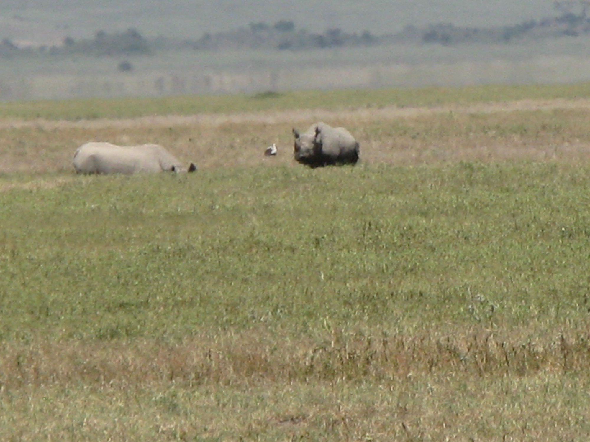 Tanzania