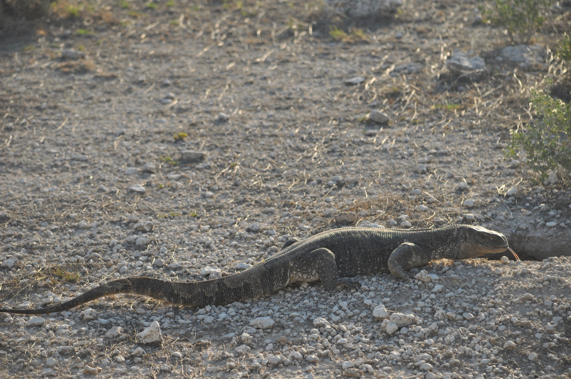 Namibia