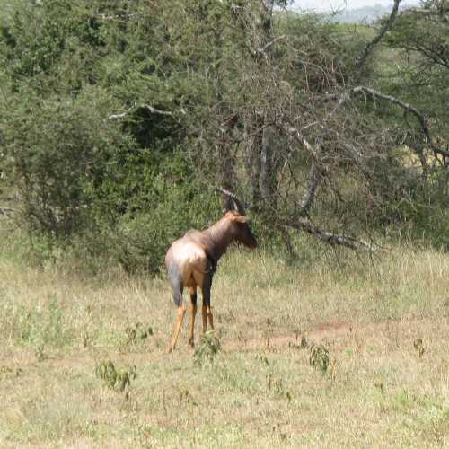 Tanzania