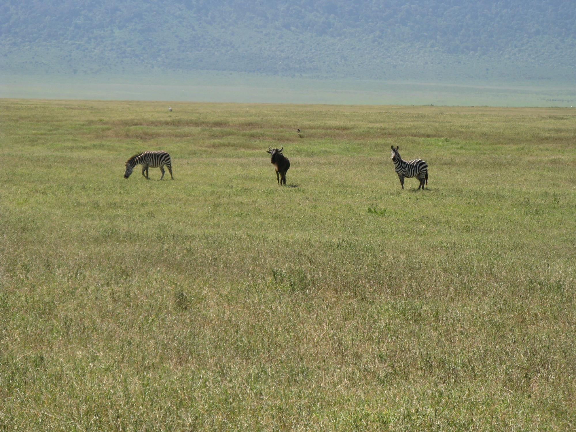 Tanzania