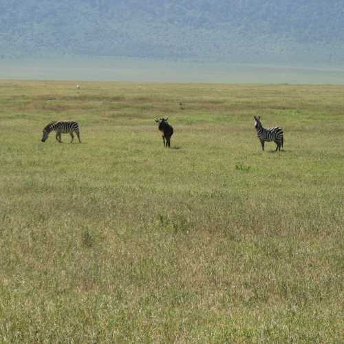 Tanzania