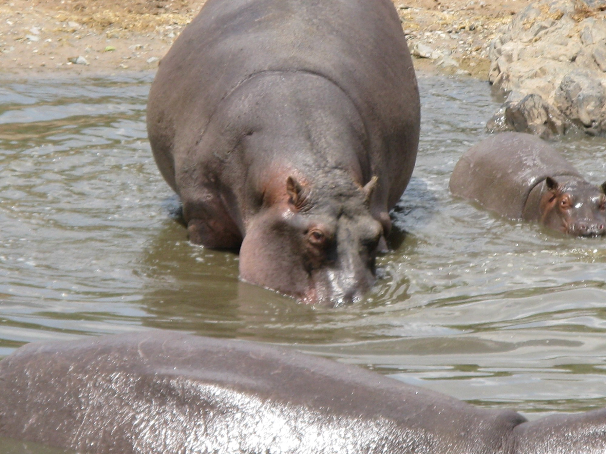 Tanzania