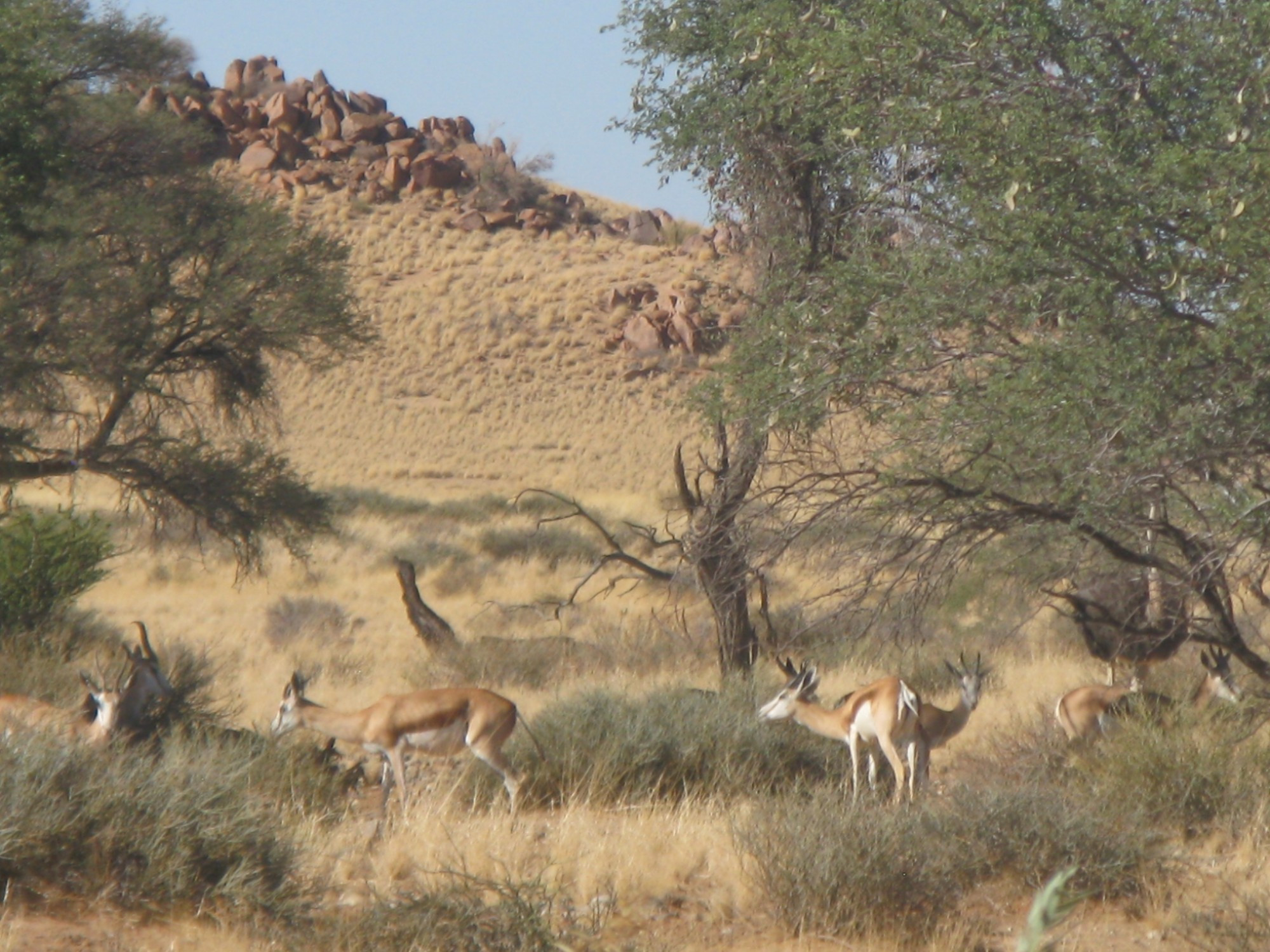 Namibia