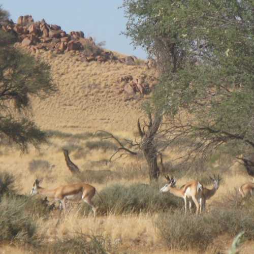 Namibia