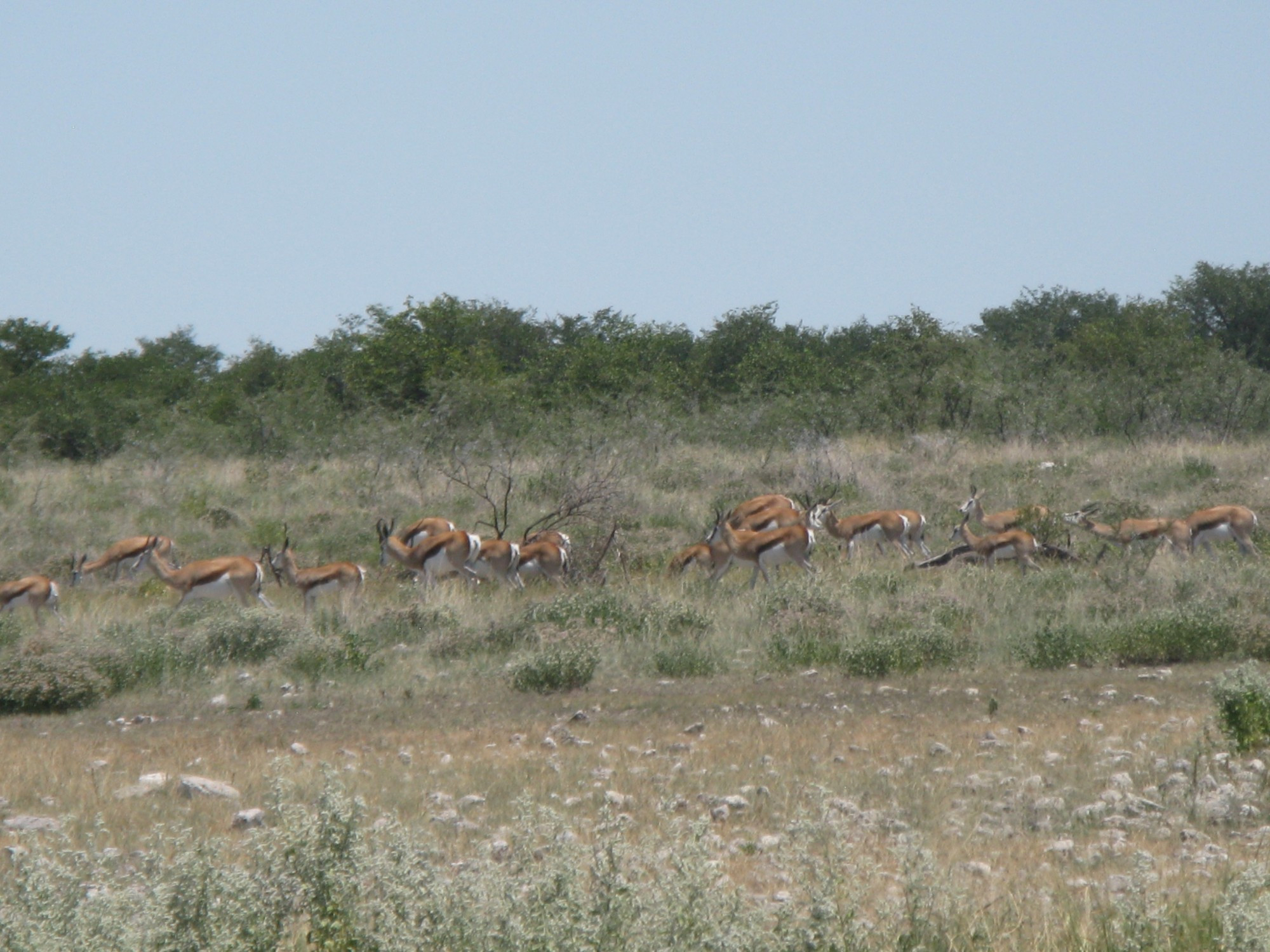 Namibia