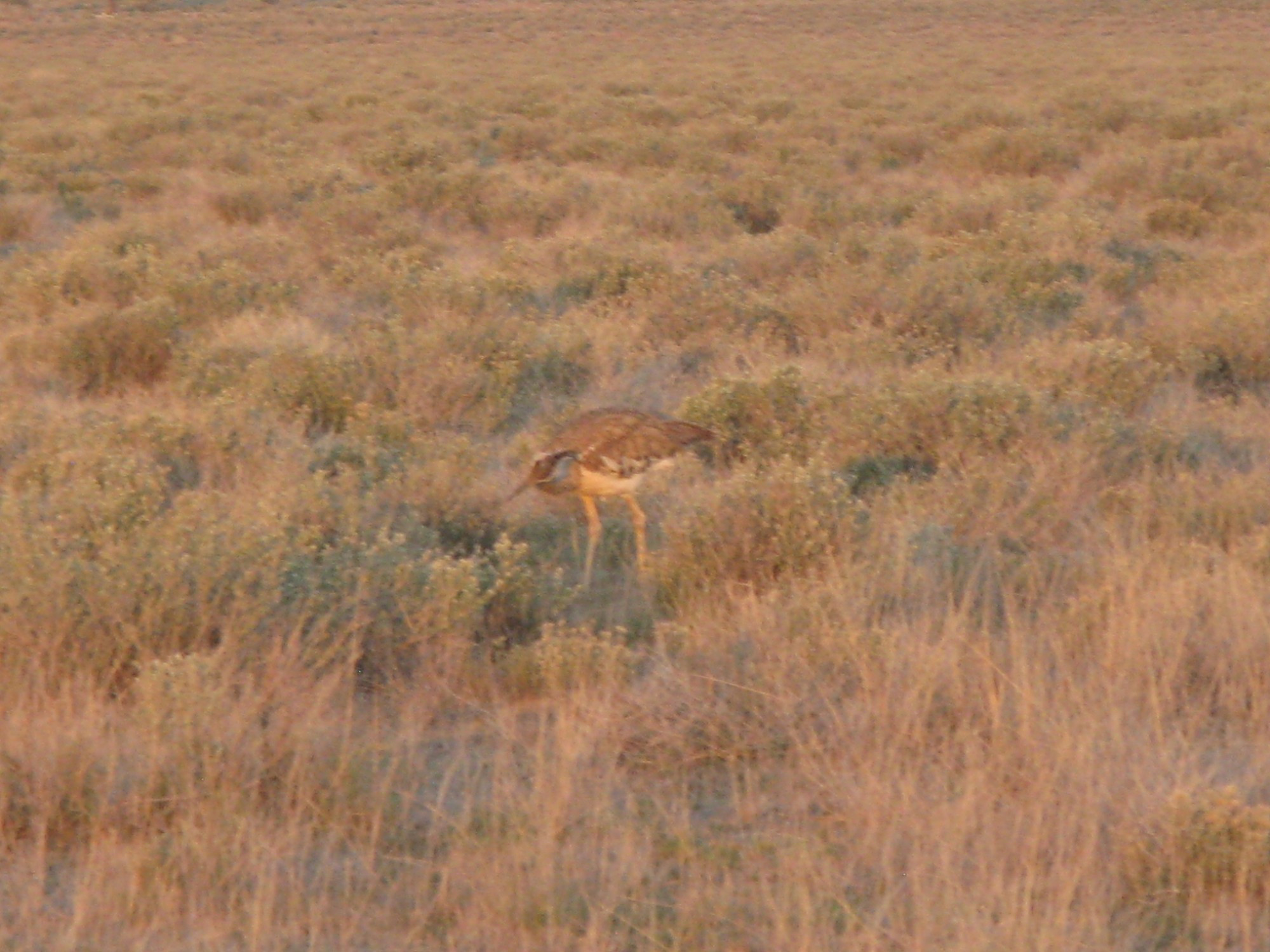 Namibia