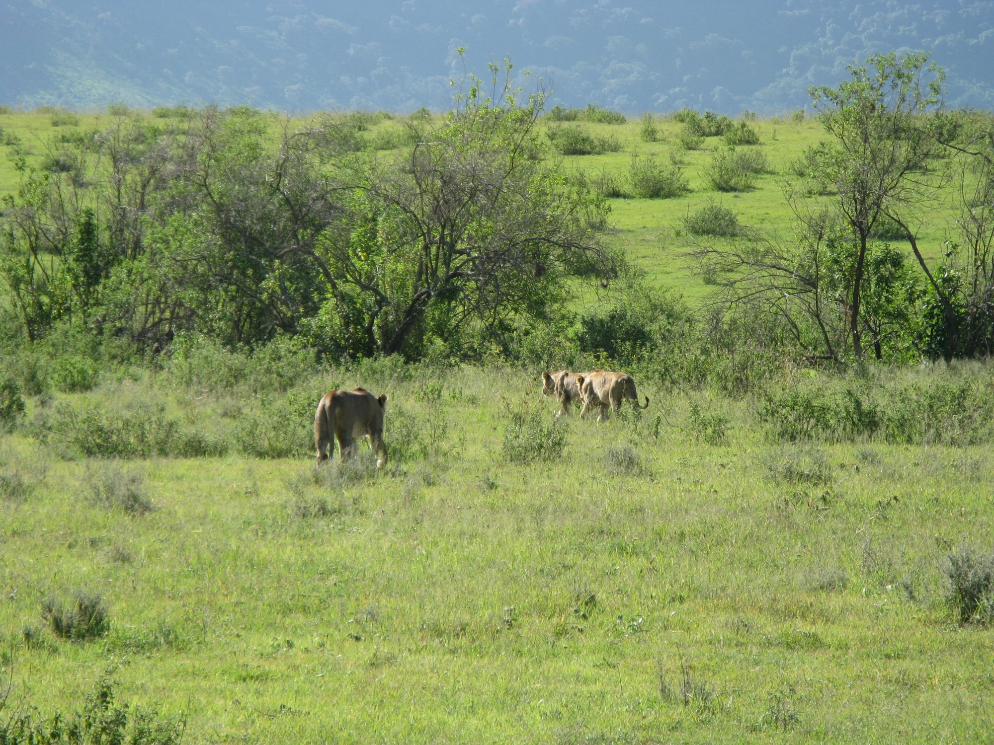 Tanzania