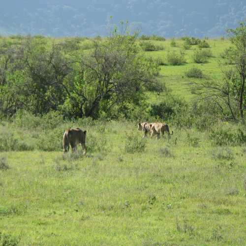 Tanzania