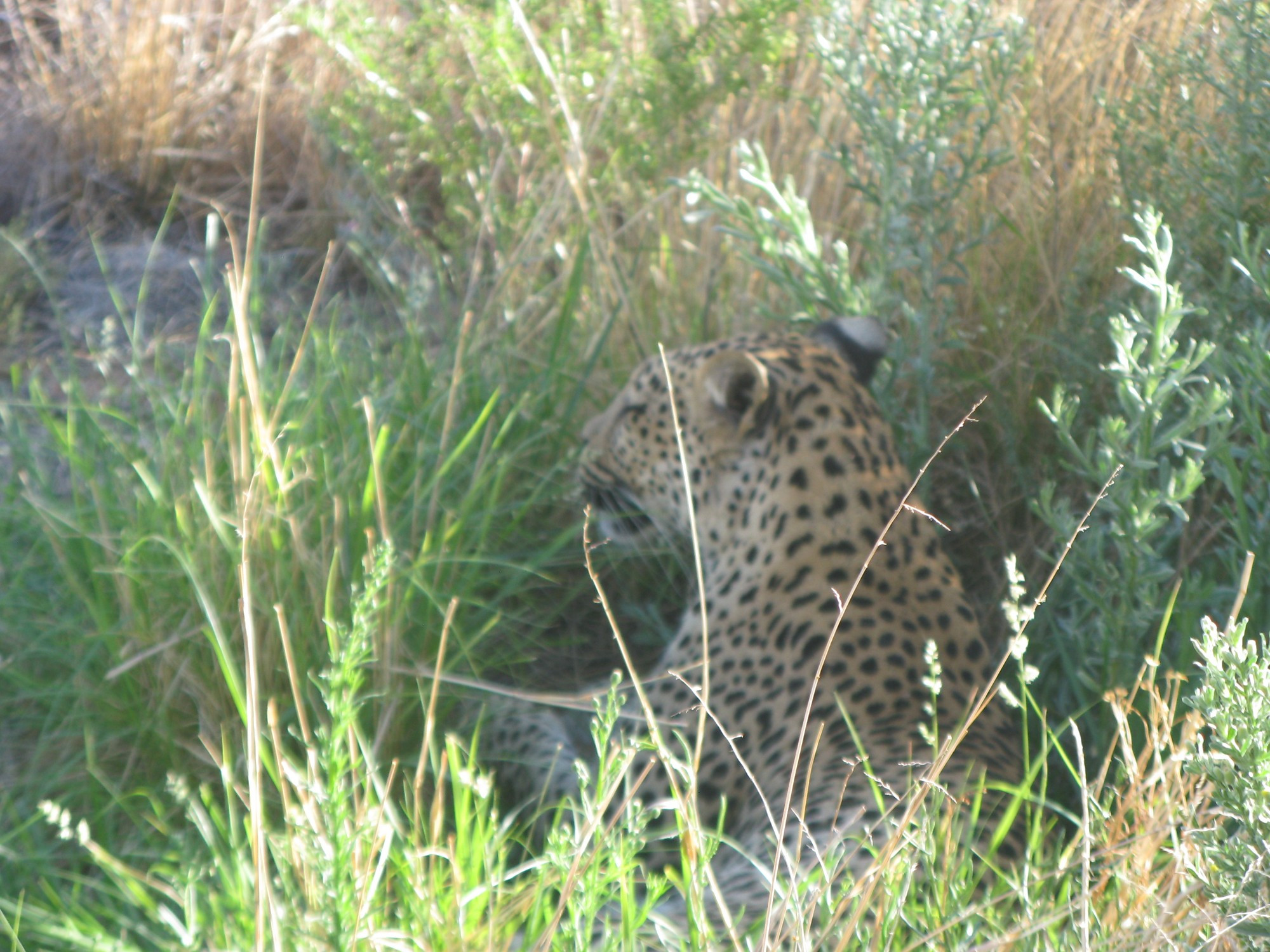 Namibia