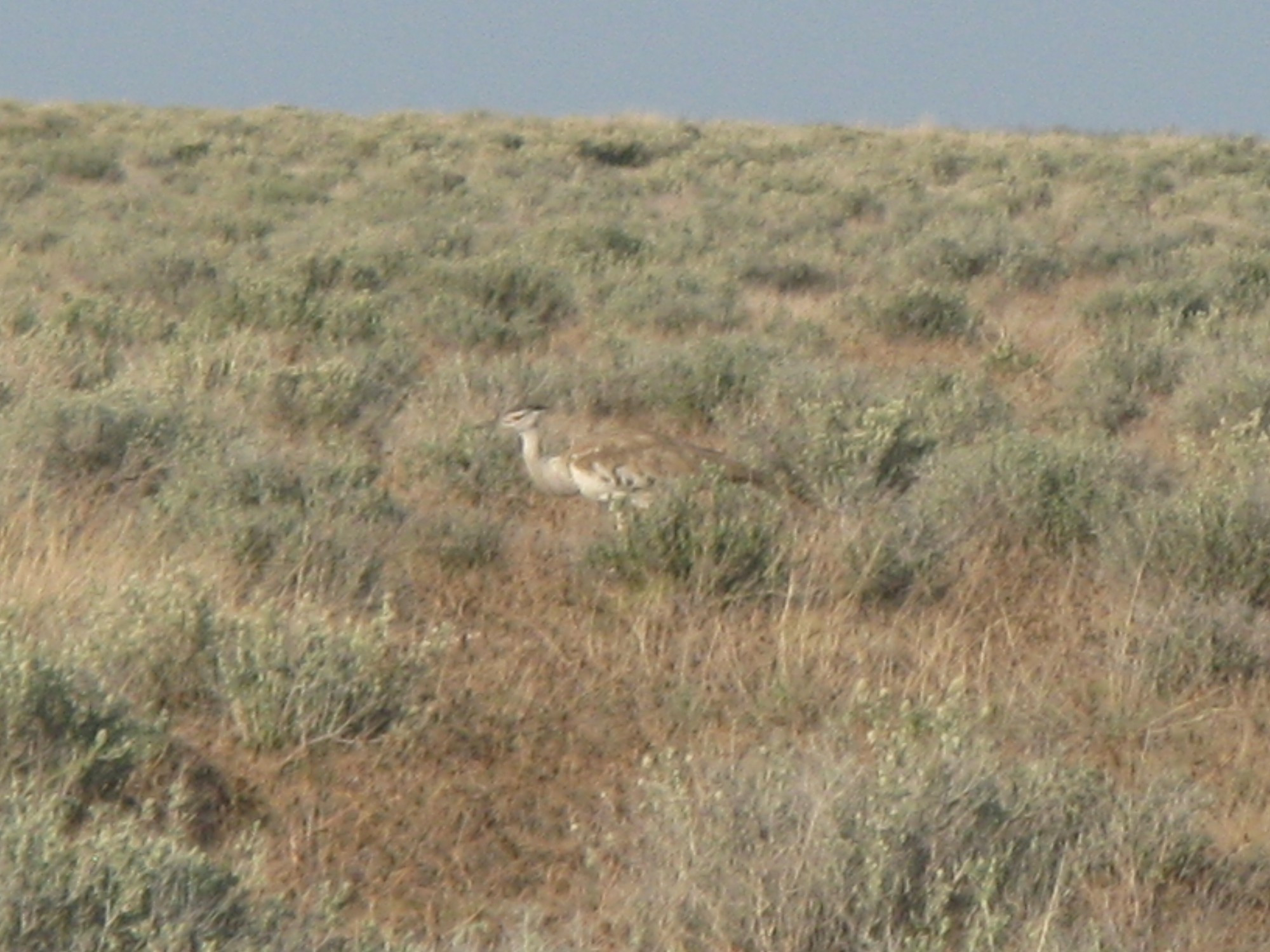 Namibia