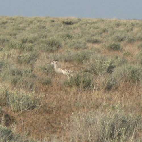 Namibia