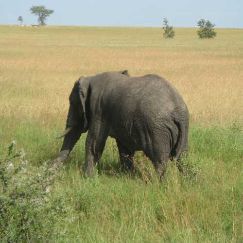 Tanzania