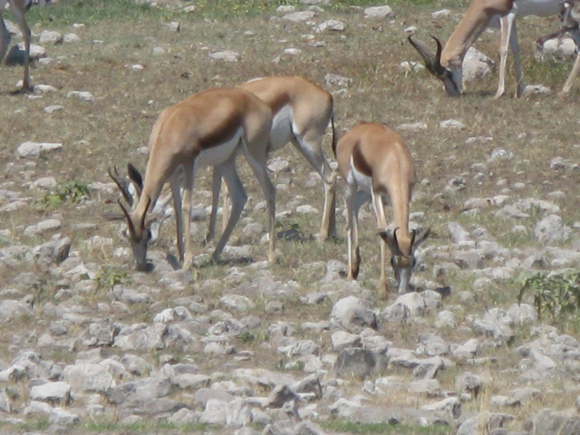 Namibia