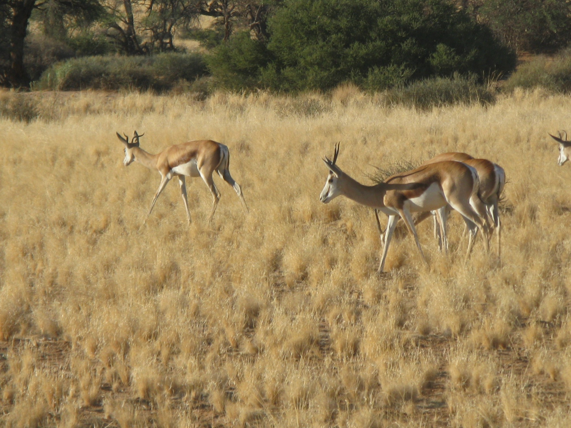 Namibia