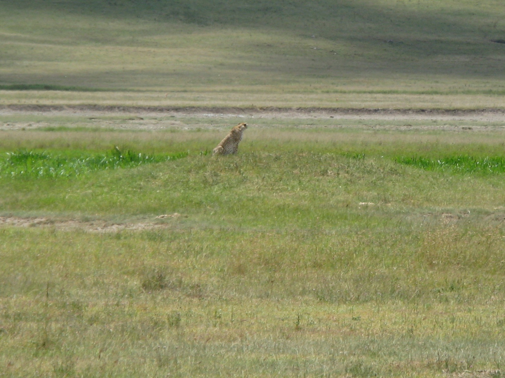 Tanzania