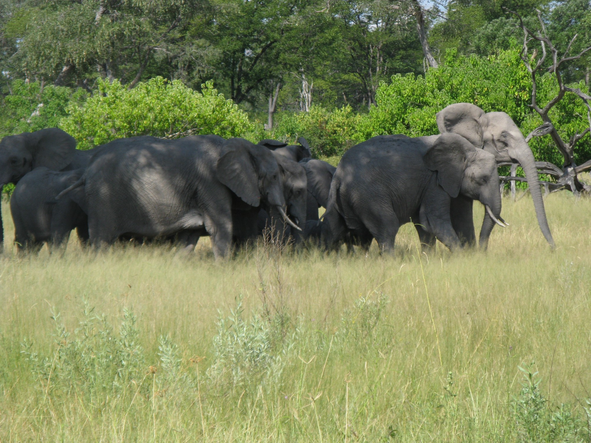 Botswana