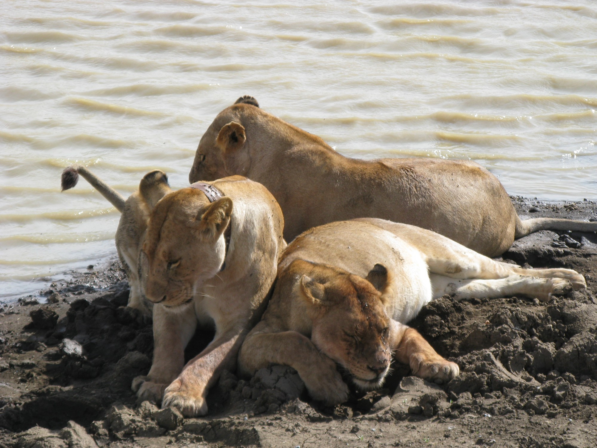 Tanzania