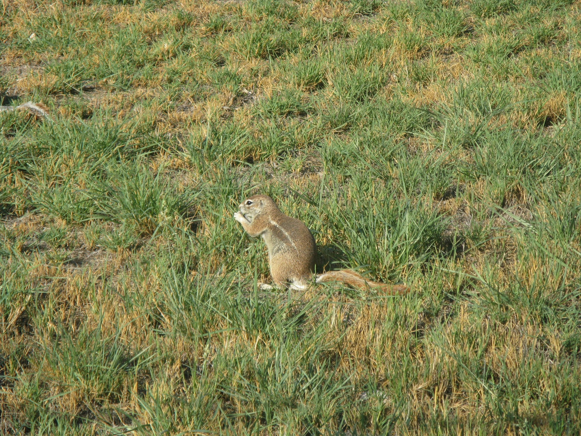 Namibia