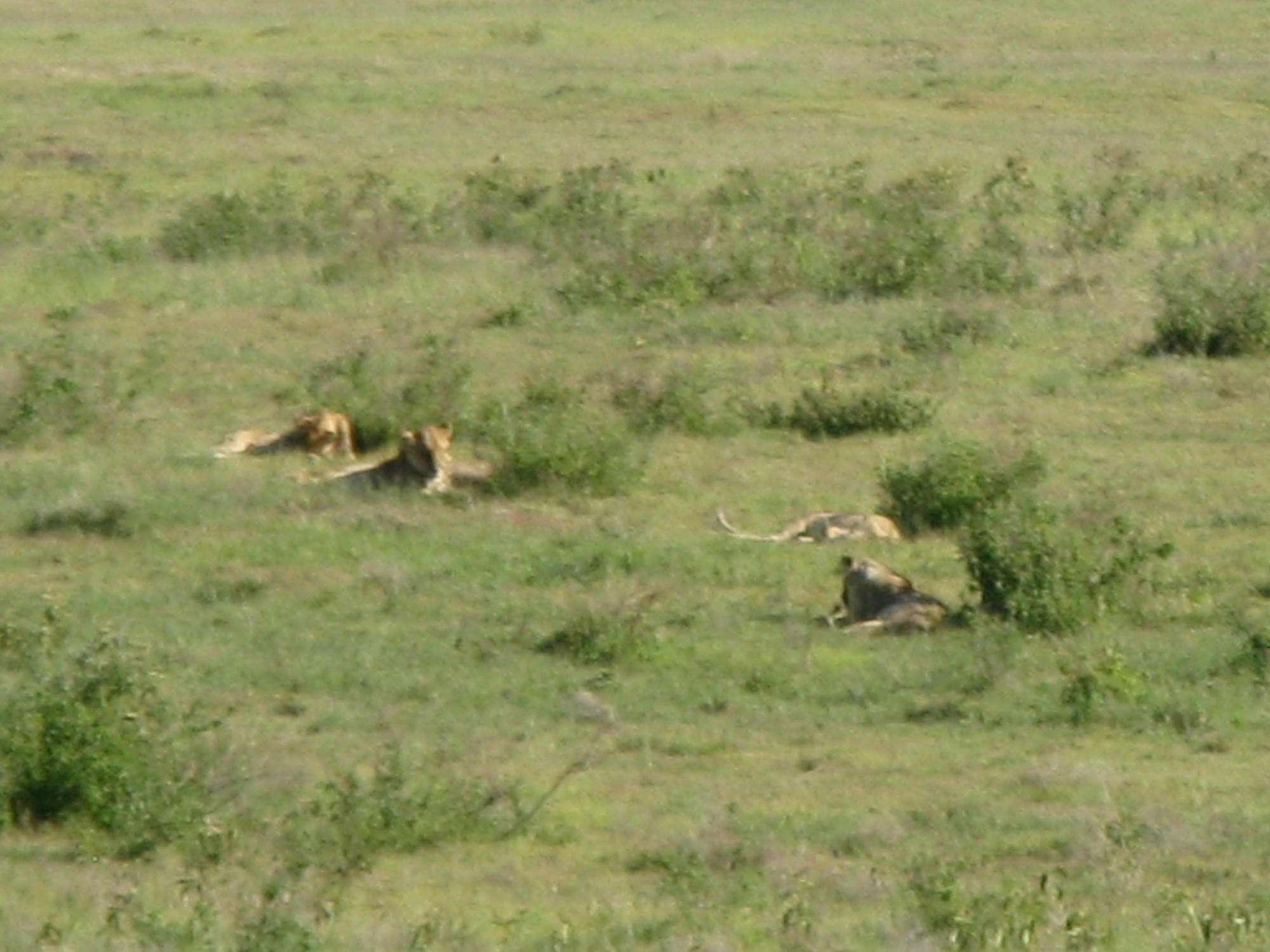 Tanzania