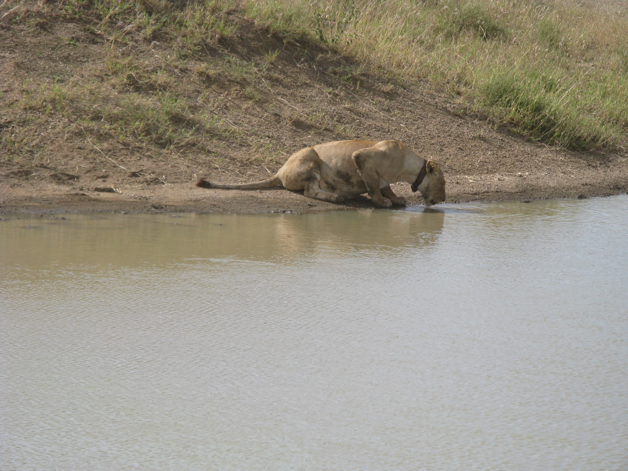 Tanzania