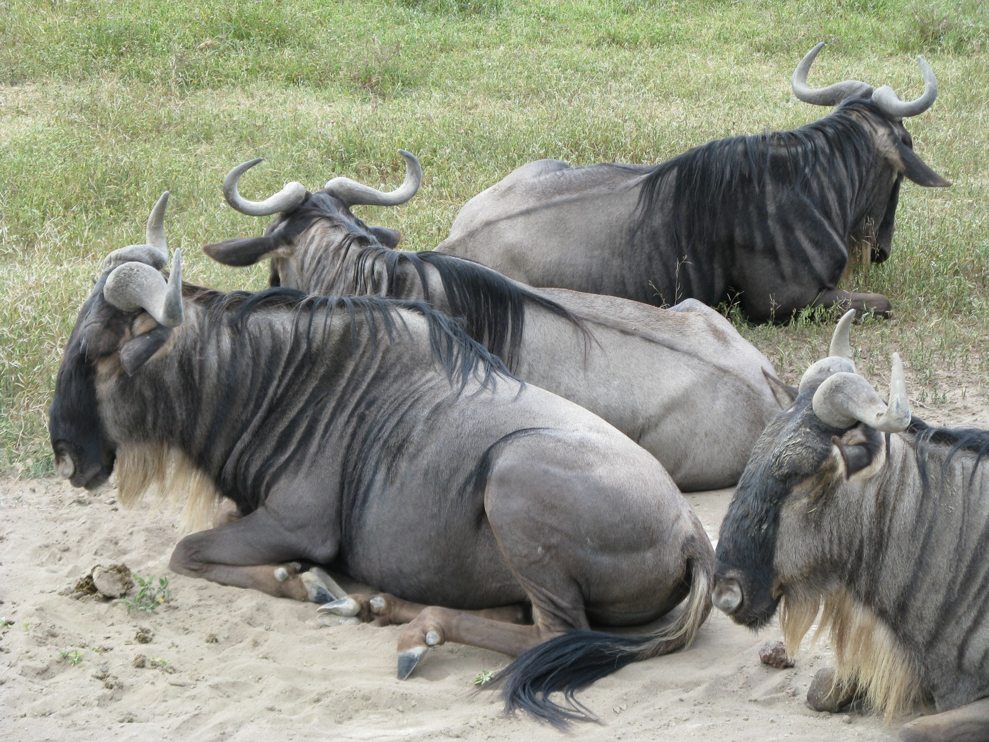 Tanzania