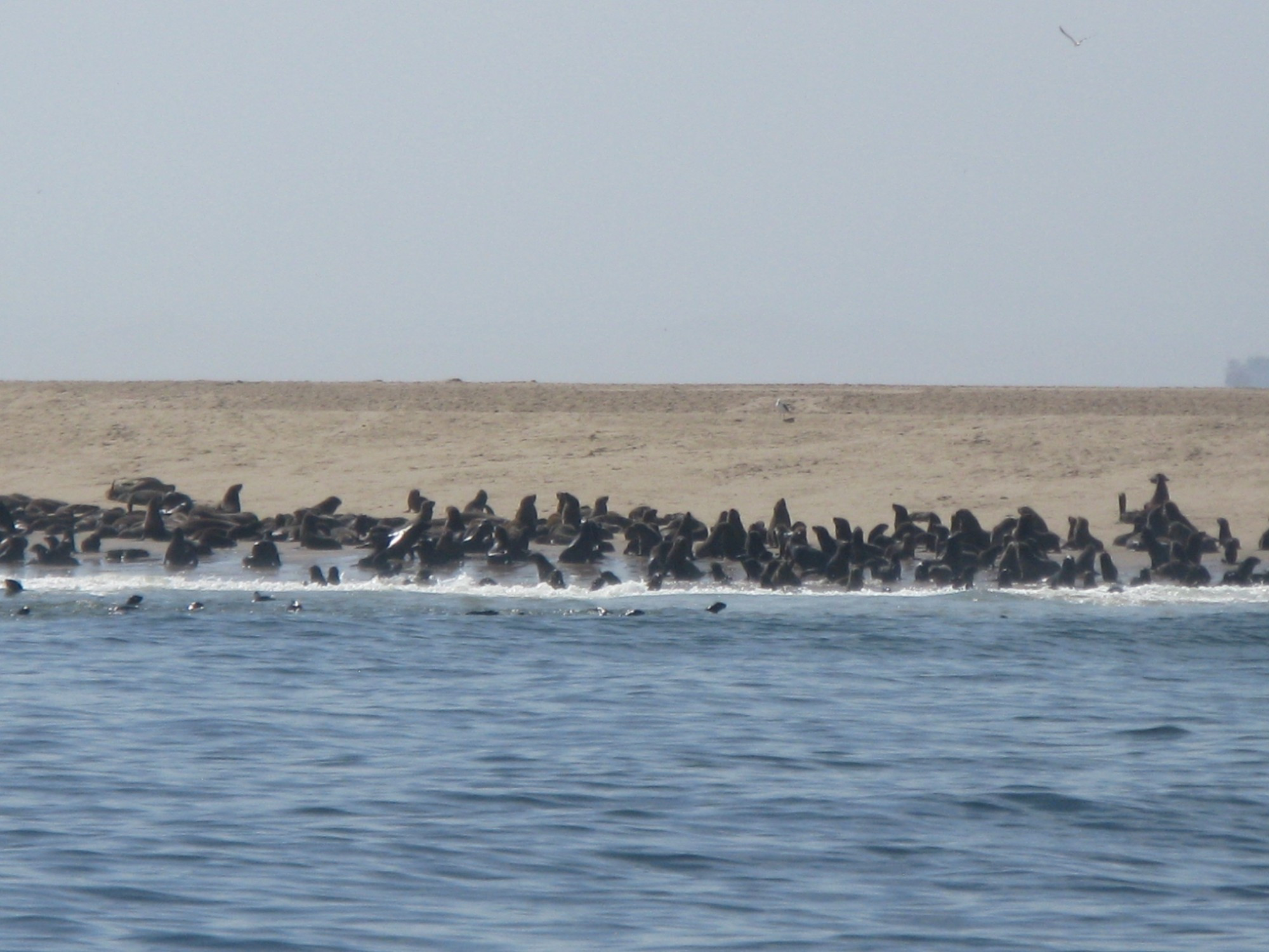 Namibia