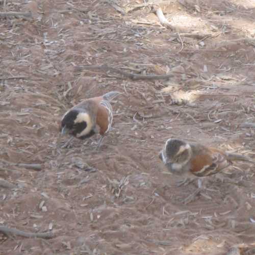 Namibia