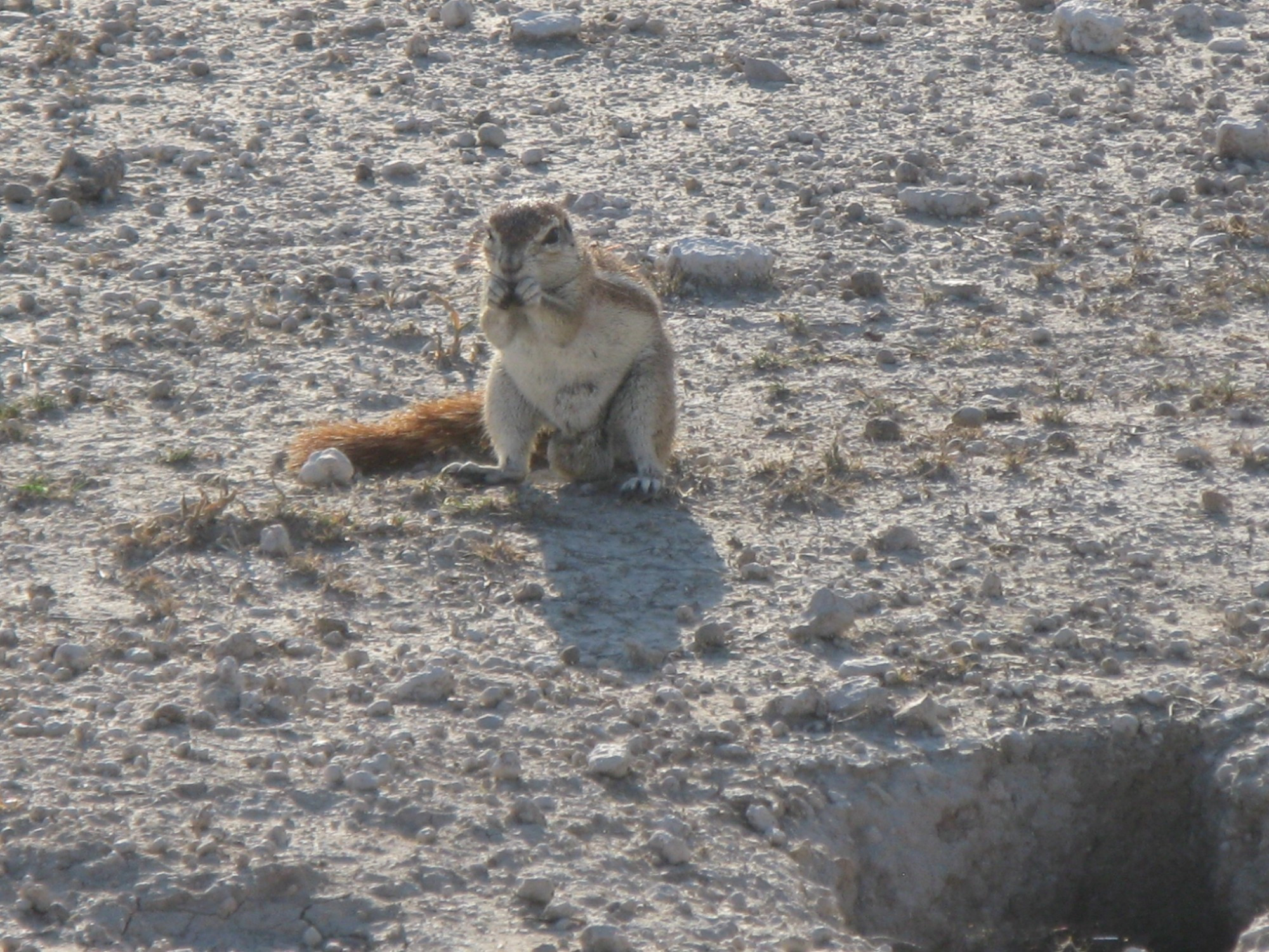 Namibia