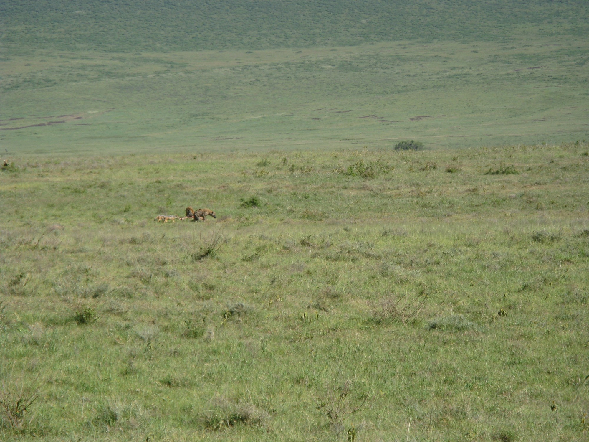 Tanzania