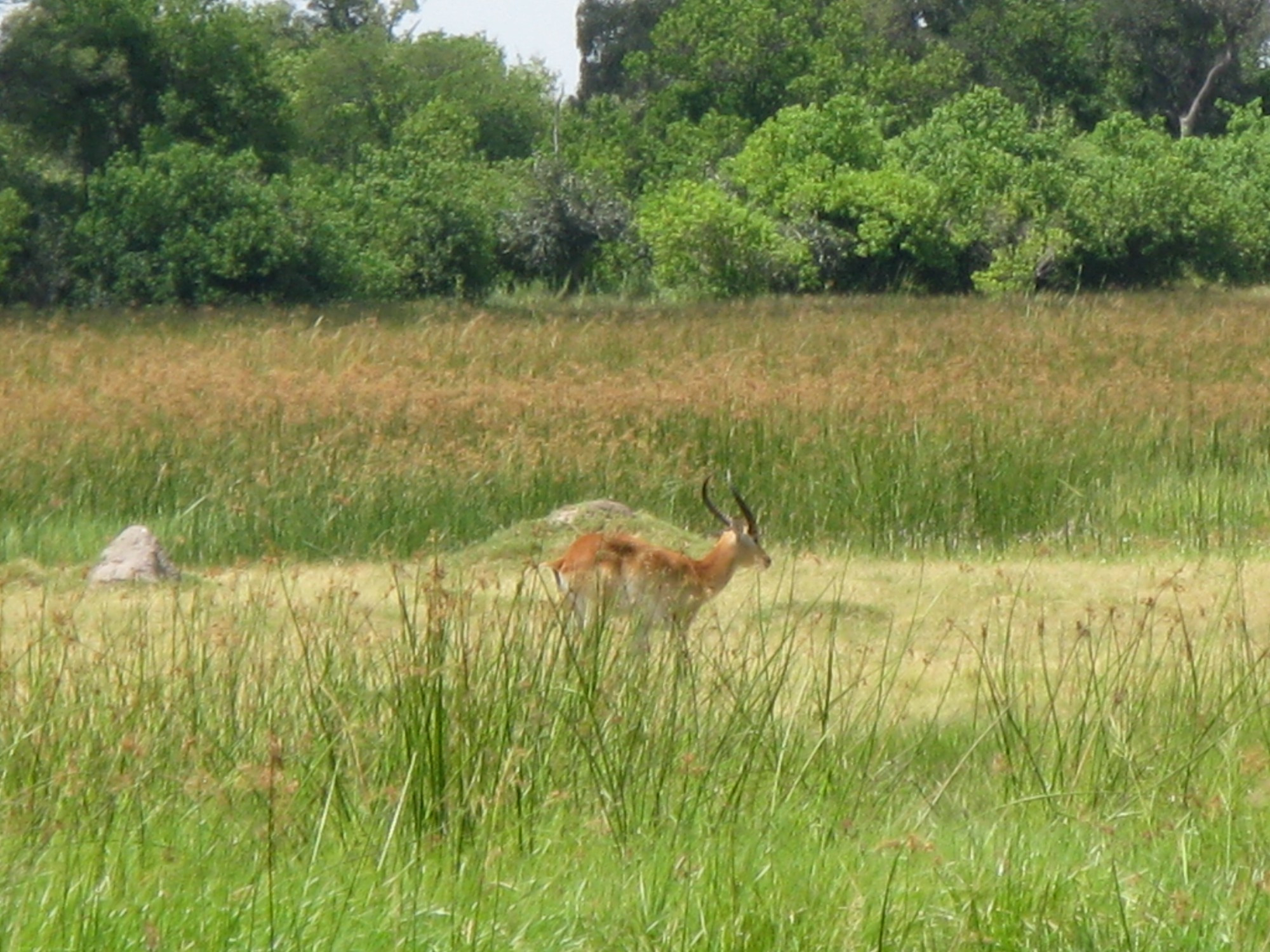 Botswana