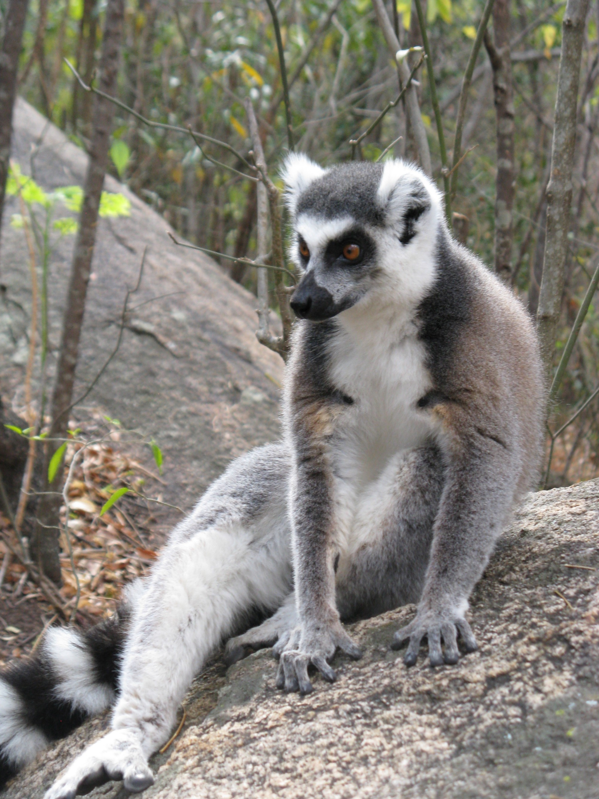 Madagascar