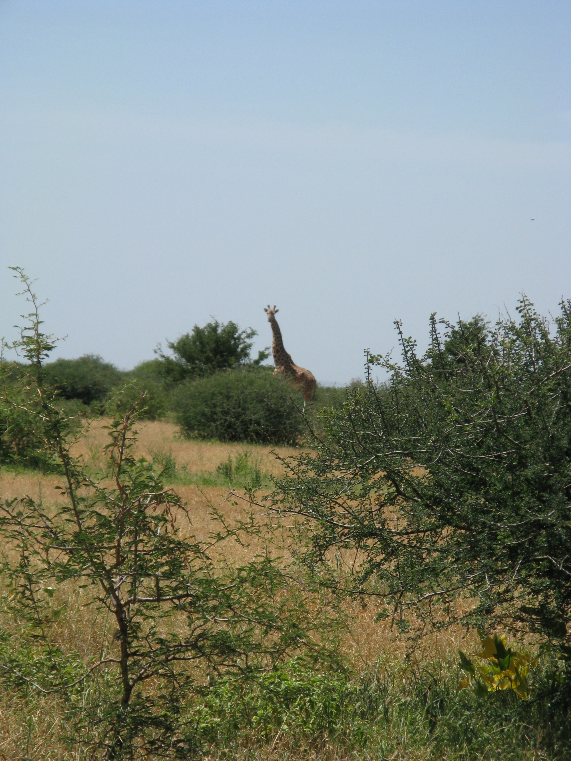 Tanzania