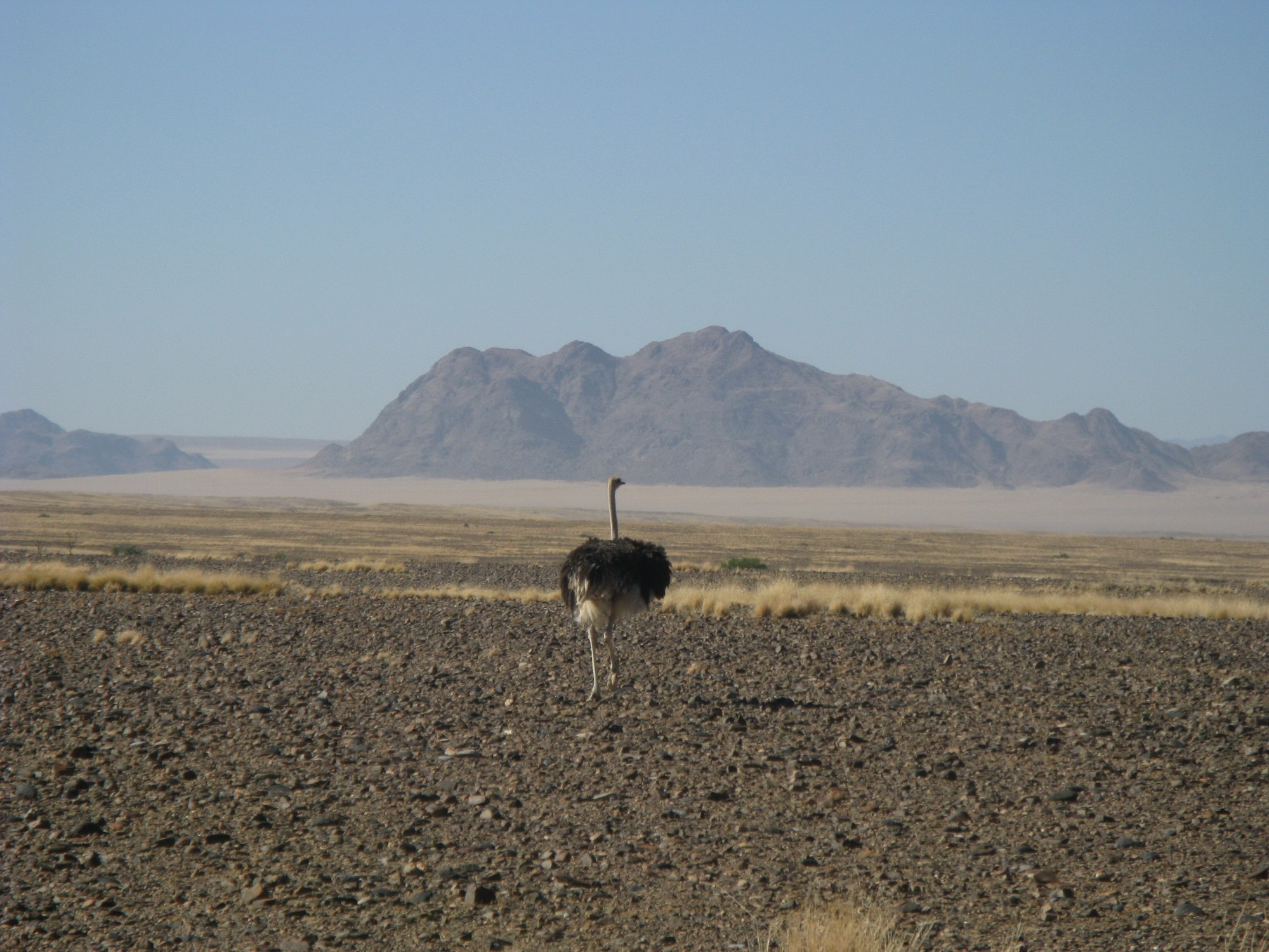 Namibia