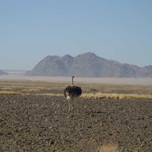 Namibia