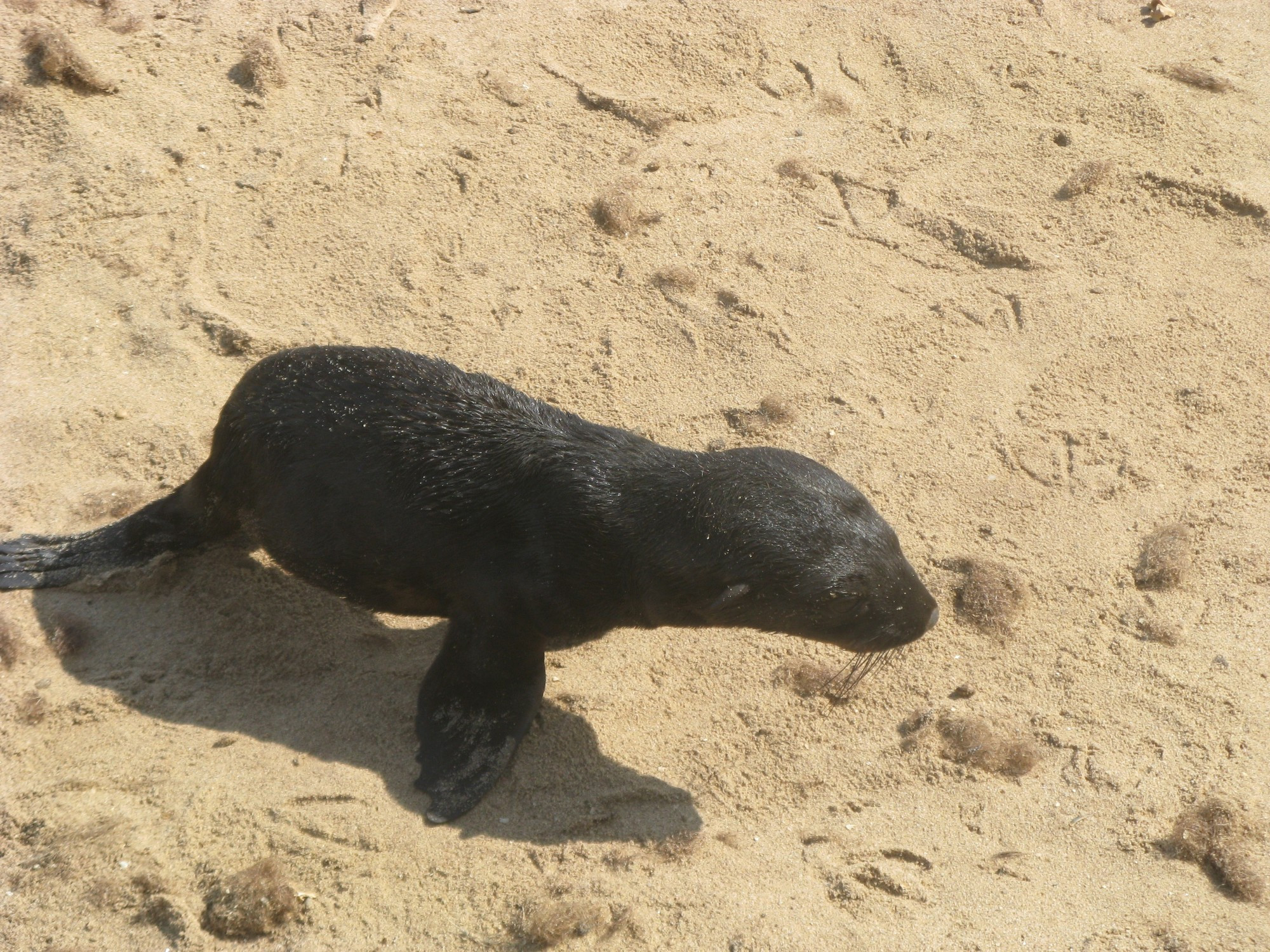 Namibia