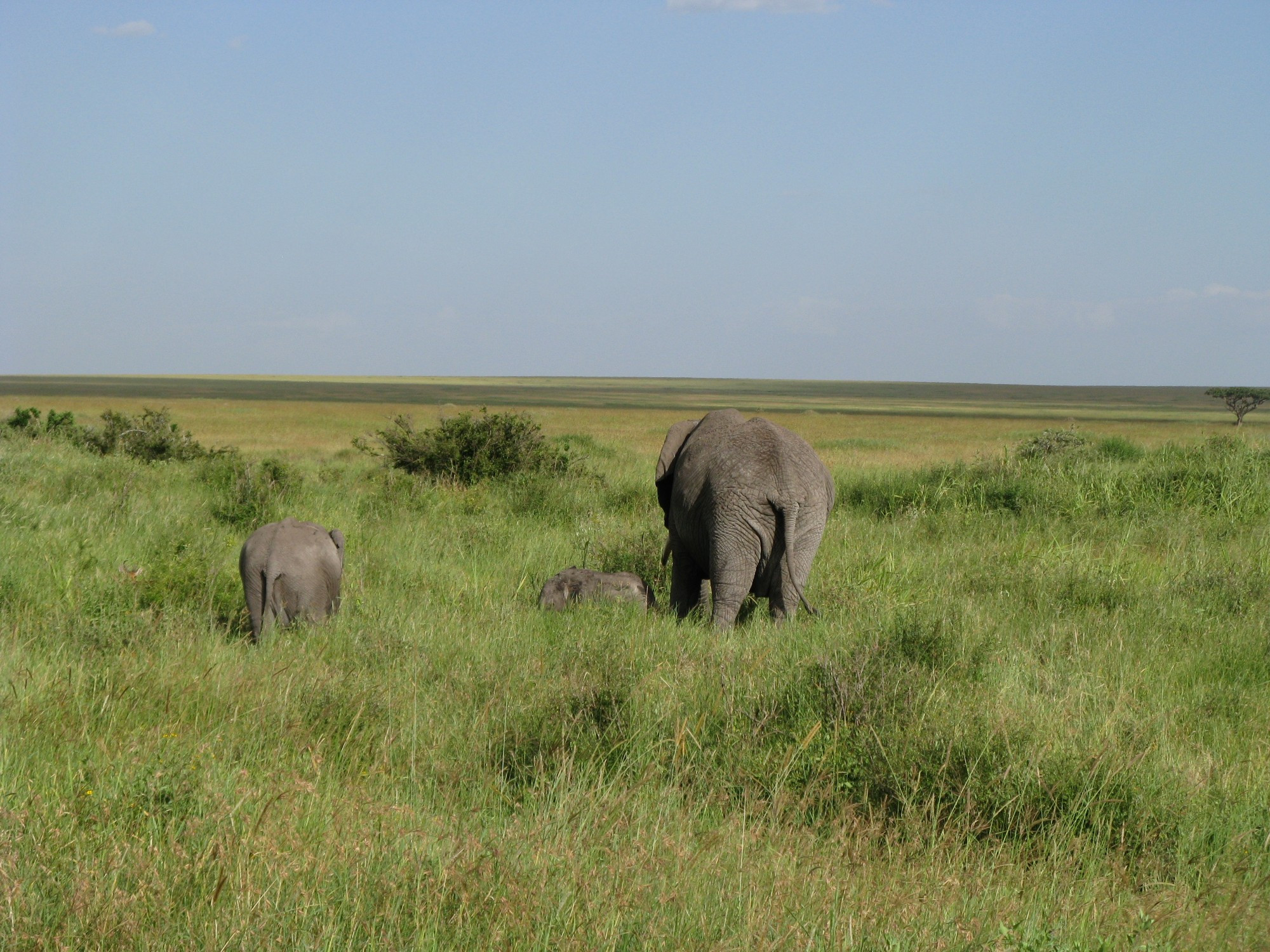 Tanzania