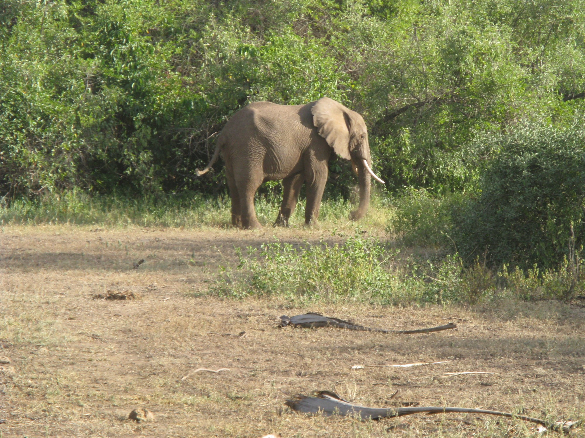 Tanzania