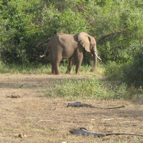 Tanzania