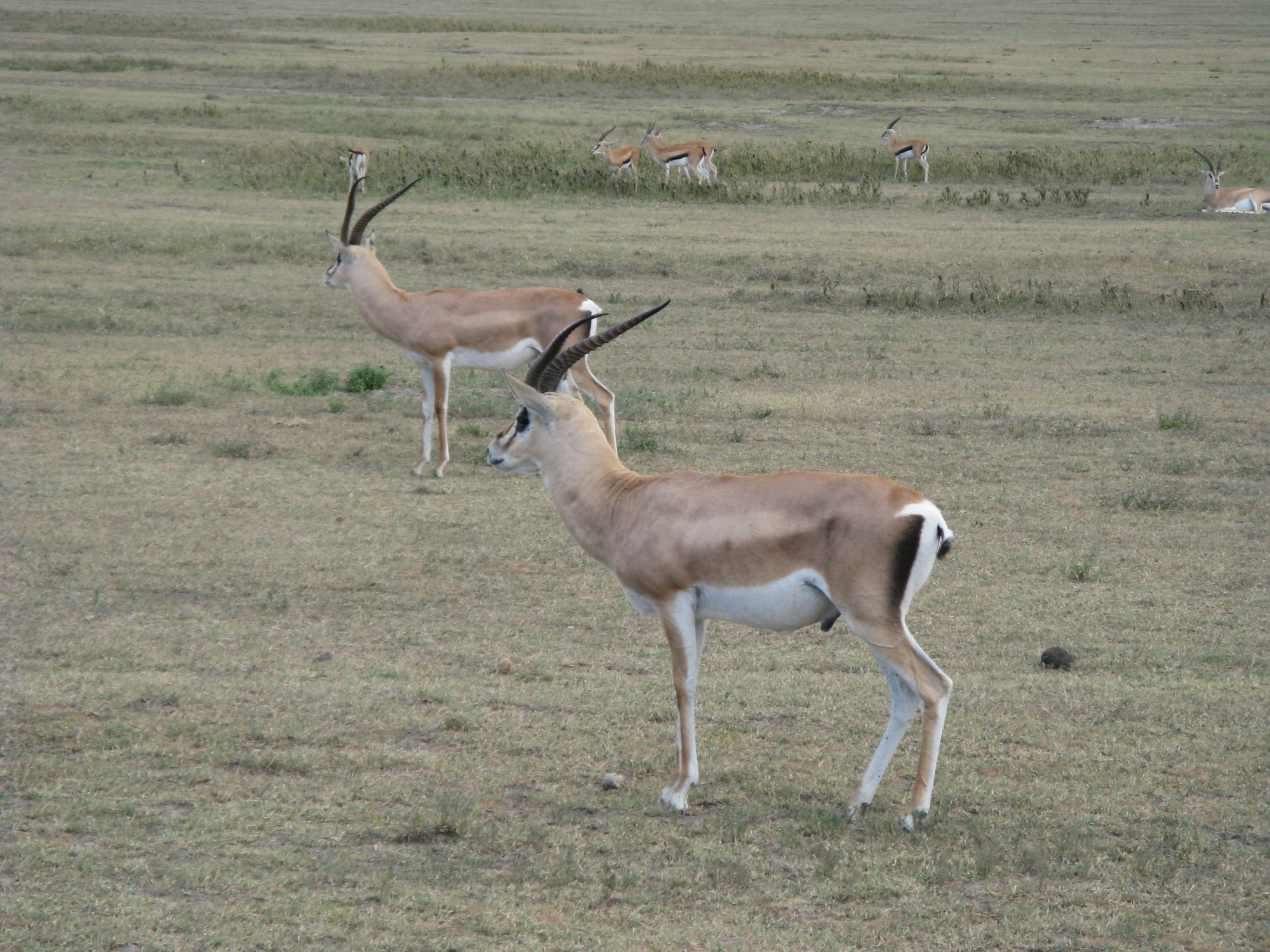 Tanzania