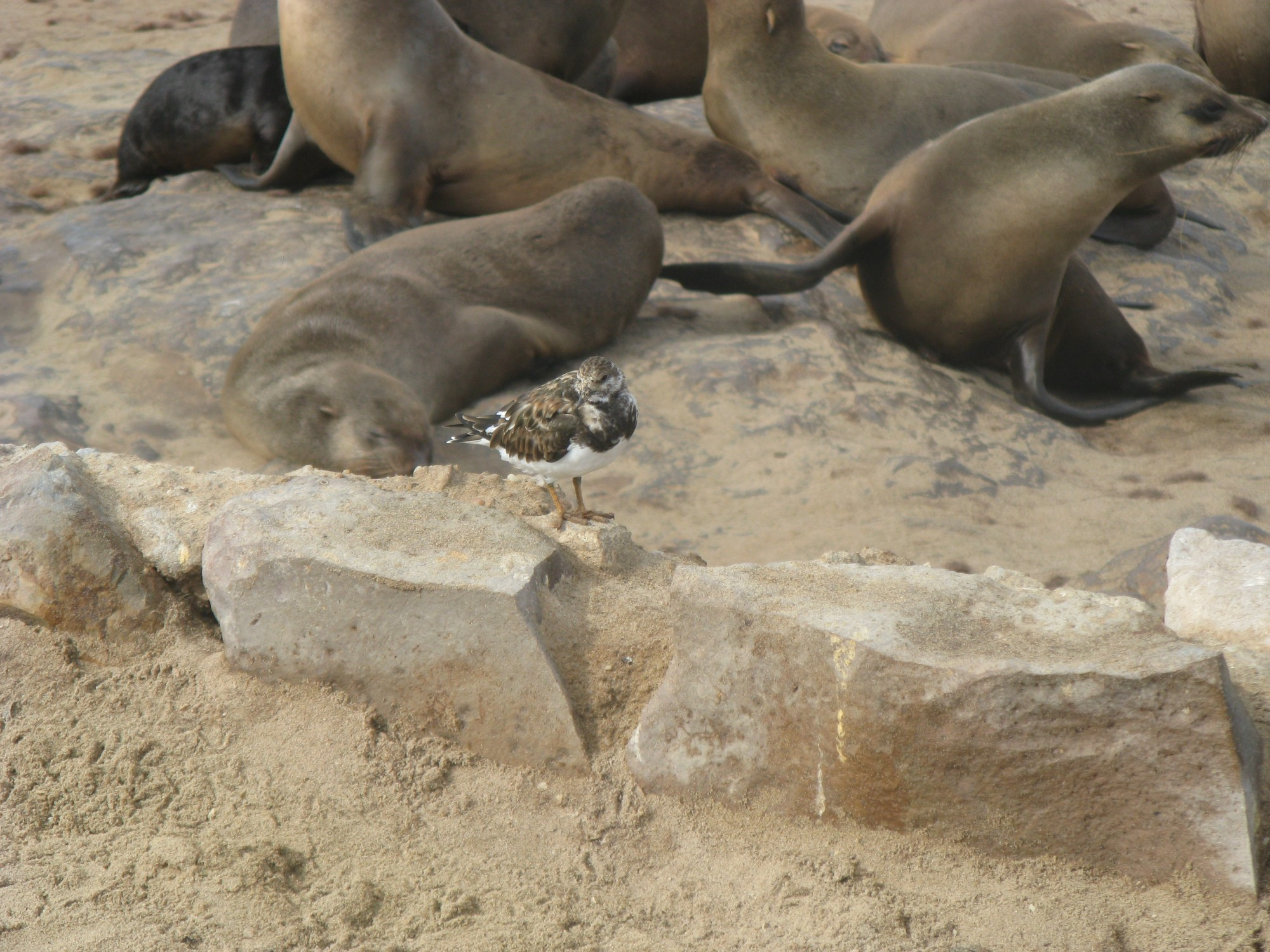 Namibia