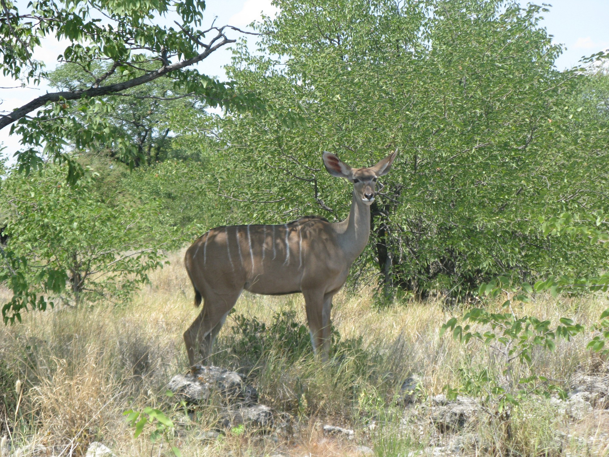 Namibia