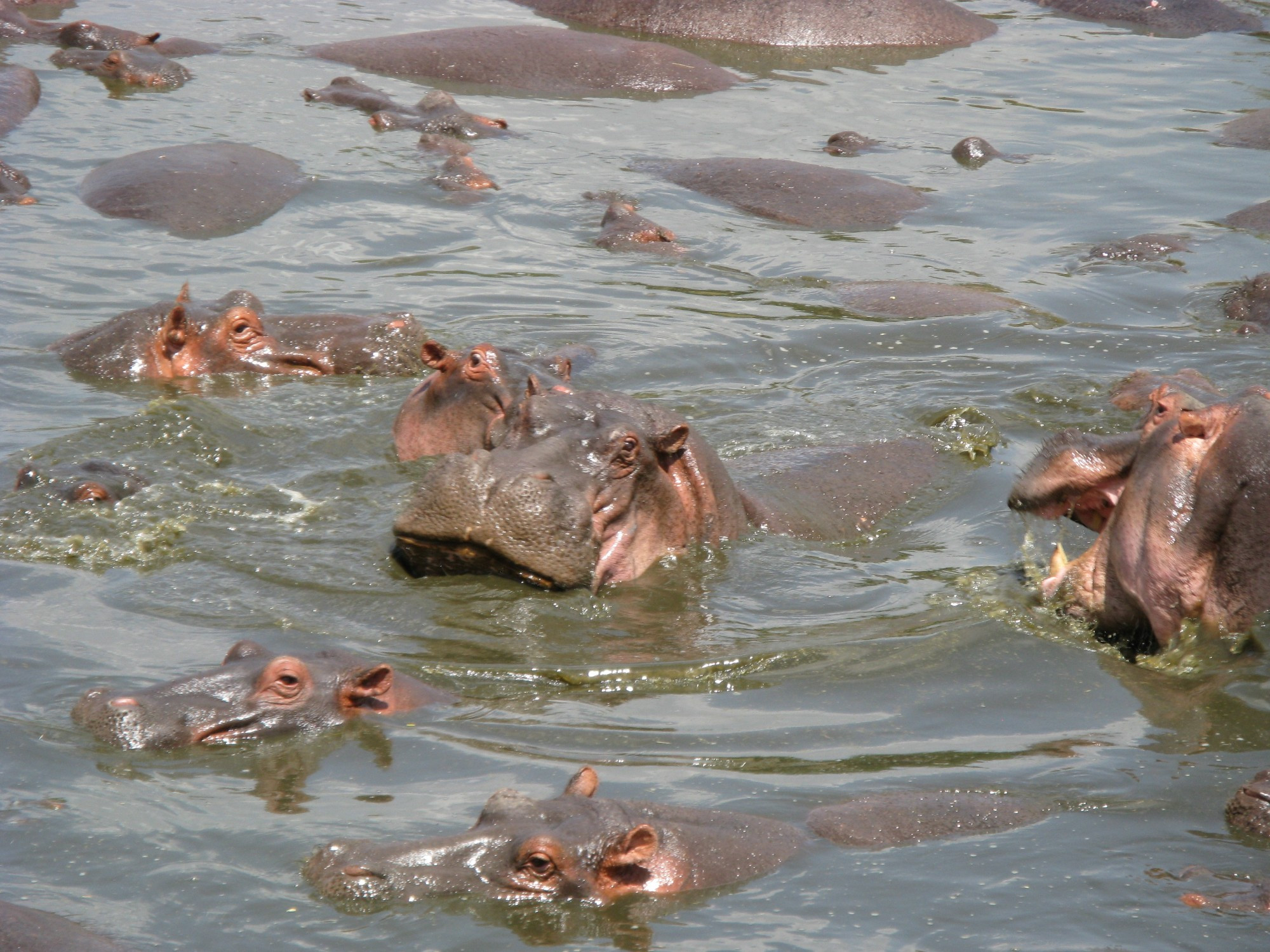 Tanzania