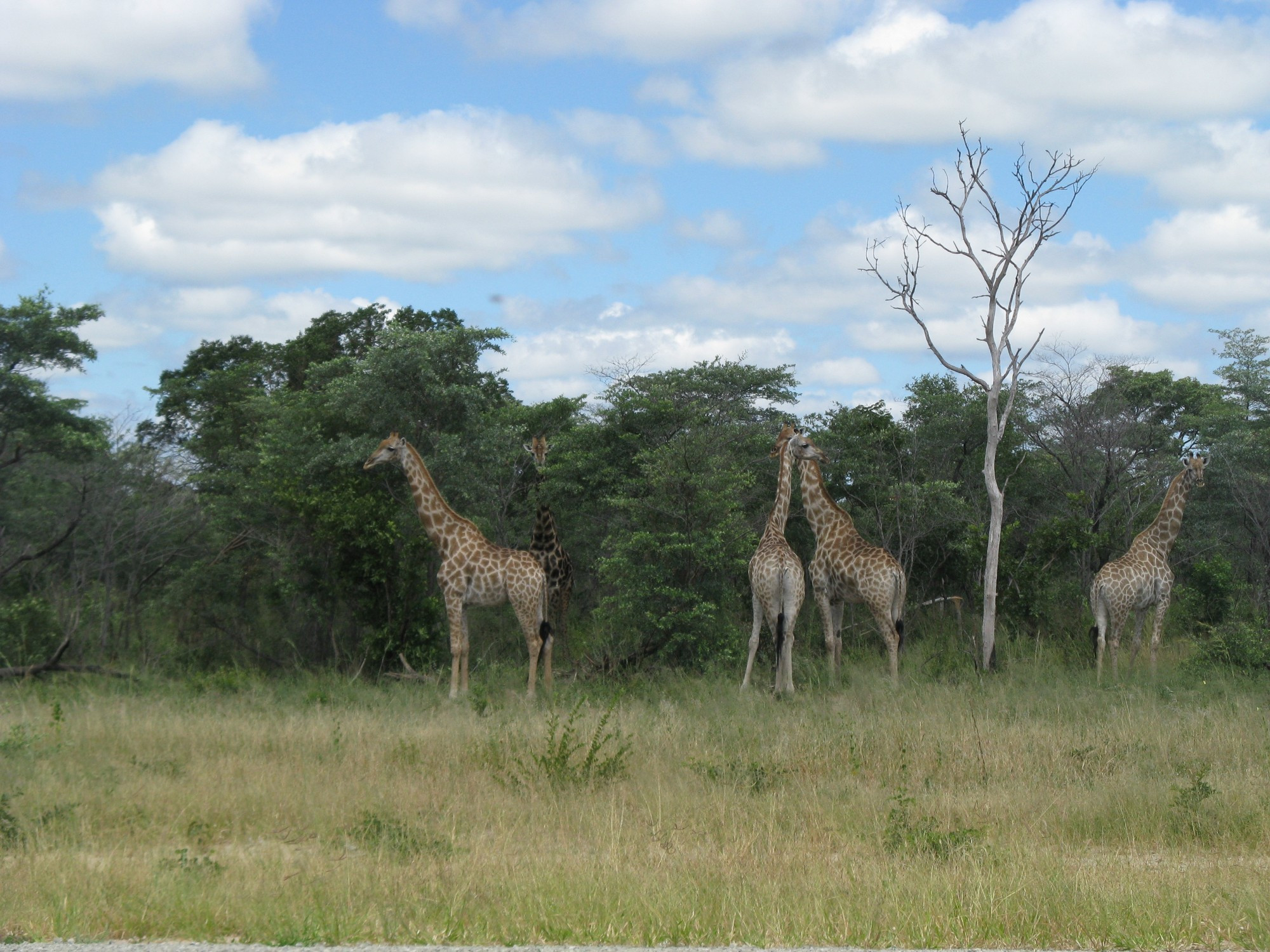 Botswana