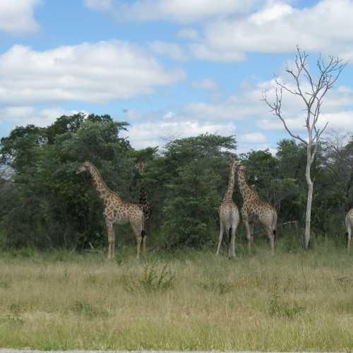 Botswana